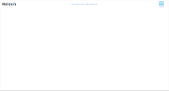 Desktop Screenshot of holovis.com